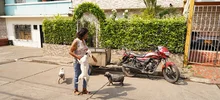 El centro de Bienestar Animal en Cali, es un sueño hecho realidad