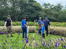 Visite los domingos el parque ambiental ‘Corazón de Pance’