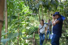 Organismos internacionales se interesan en las huertas de Cali
