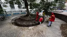 Comienza la instalación de adoquines en la Plaza de Cayzedo