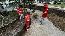 Comienza la instalación de adoquines en la Plaza de Cayzedo