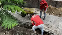 Comienza la instalación de adoquines en la Plaza de Cayzedo
