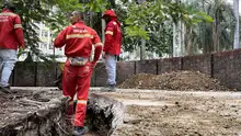 Comienza la instalación de adoquines en la Plaza de Cayzedo