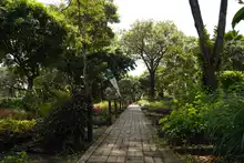 Se buscan sembradores del futuro ambiental de la ciudad