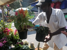 Habitantes de y en calle expondrán sus productos artesanales este domingo