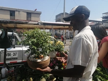 Habitantes de y en calle expondrán sus productos artesanales este domingo