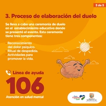 Guía para ayudar a evitar intentos de suicidio al interior de las instituciones educativas