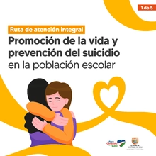 Guía para ayudar a evitar intentos de suicidio al interior de las instituciones educativas
