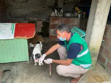 Alcaldía de Cali realiza visitas de inspección ante denuncias por maltrato animal