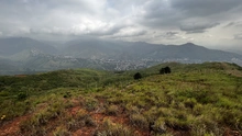 Administración Distrital ejecutó compensación arbórea de 4.270 especies forestales en Cristo Rey
