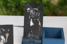 Con gran éxito se llevó a cabo encuentro artesanal y artístico de población vulnerable
