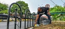 Cali renueva su paisajismo urbano con separadores viales y andenes integrales 