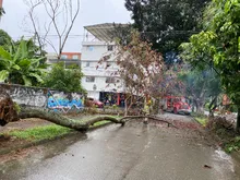Cómo prepararse ante la segunda temporada de lluvias