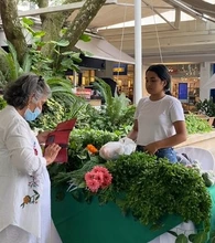 Los mercados campesinos se tomarán a Cali y sus corregimientos este fin de semana