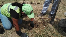 Siembra de jardines y oferta institucional en el barrio Alfonso López 
