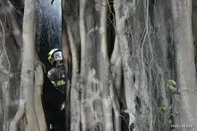 Tratan de salvar a un octogenario al que le echaron candela