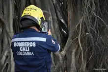 Tratan de salvar a un octogenario al que le echaron candela