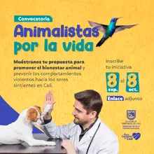 Convocatoria Cultura Interespecie