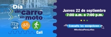 banner dia sin carro