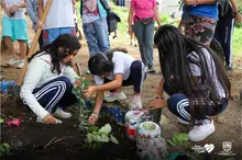 Con palas, escobas y pintura se cumplió la minga en planteles educativos 