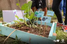 Con palas, escobas y pintura se cumplió la minga en planteles educativos 