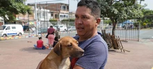 En el día sin carro, las mascotas se movilizaron por su seguridad