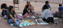 En el día sin carro, las mascotas se movilizaron por su seguridad