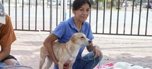 En el día sin carro, las mascotas se movilizaron por su seguridad