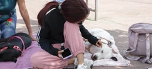 En el día sin carro, las mascotas se movilizaron por su seguridad