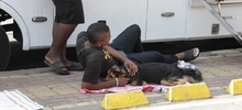 En el día sin carro, las mascotas se movilizaron por su seguridad