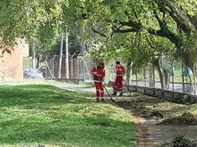 Con plan de limpieza especial, la Uaesp se sumó al Día sin Carro
