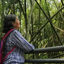 Recorrido por bosques urbanos fue uno de los atractivos en la jornada de movilidad sostenible 