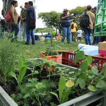 Encuentro de Huerteros reunió los cinco Ecobarrios de la ciudad 