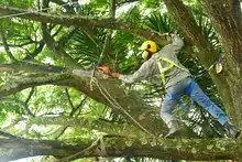 DAGMA llevó toda su oferta ambiental al Corregimiento de Montebello