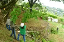 DAGMA llevó toda su oferta ambiental al Corregimiento de Montebello