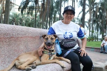 Recorrido cultural en San Antonio: mascotas hicieron parte de la celebración del ‘Día Mundial del Turismo’