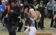El barrio Capri será escenario de la ‘Feria Vecinal de Seguridad’ en su tercera versión