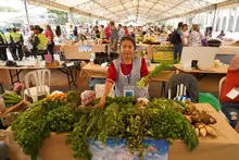 La Plazoleta Jairo Varela se vestirá con frutas, legumbres y hortalizas
