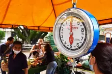 La Plazoleta Jairo Varela se vestirá con frutas, legumbres y hortalizas