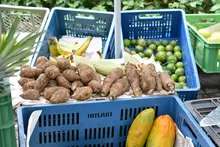La Plazoleta Jairo Varela se vestirá con frutas, legumbres y hortalizas