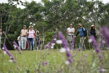 Acércate y conoce el parque ambiental ‘Corazón de Pance’