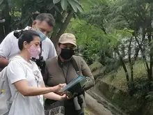 Cali se prepara para contar sus aves residentes y migratorias