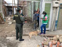 Más de mil millones han pagado los caleños por infracciones ambientales