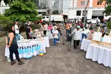Instituto Popular de Cultura impulsa iniciativas artísticas y culturales de sus egresados