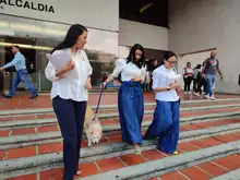 Alcaldía radicó proyecto de acuerdo para la creación de la Unidad de Protección Animal - Uaepa