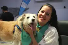 Alcaldía radicó proyecto de acuerdo para la creación de la Unidad de Protección Animal - Uaepa