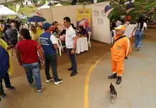 Esterilizan animales de compañía durante jornada de servicios institucionales en Brisas de Mayo