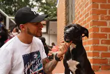 Esterilizan animales de compañía durante jornada de servicios institucionales en Brisas de Mayo