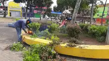 Adopción de zonas verdes en Cali: un programa que da frutos