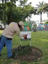 Adopción de zonas verdes en Cali: un programa que da frutos